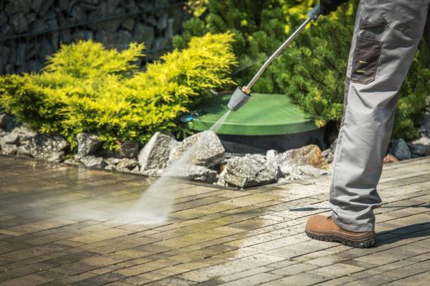 Reliable West Frankfort, IL Pressure Washing Solutions